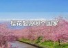 大阪樱花阿根廷独立：樱花起源哪个国家