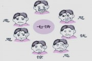 七情上面：七情是什么