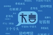 巴西 内部 方言：方言小巴西是什么意思